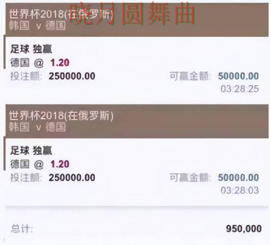 世界杯投注官网平台功能对比分析，新手必看